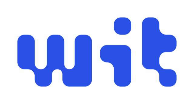 WIT Software logo